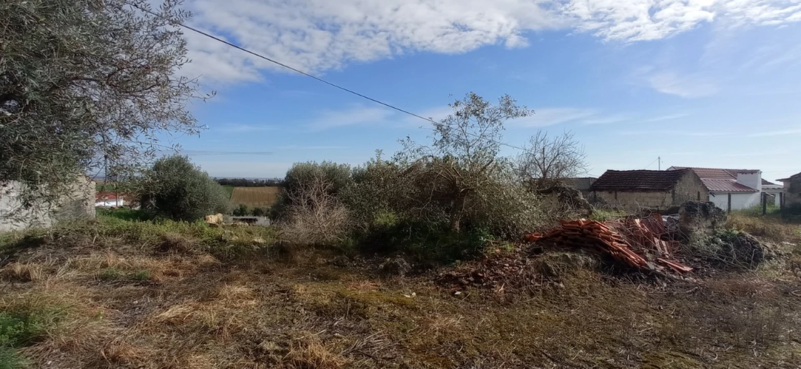 Moradia para Venda em Achete, Azoia de Baixo e Póvoa de Santarém Foto 4