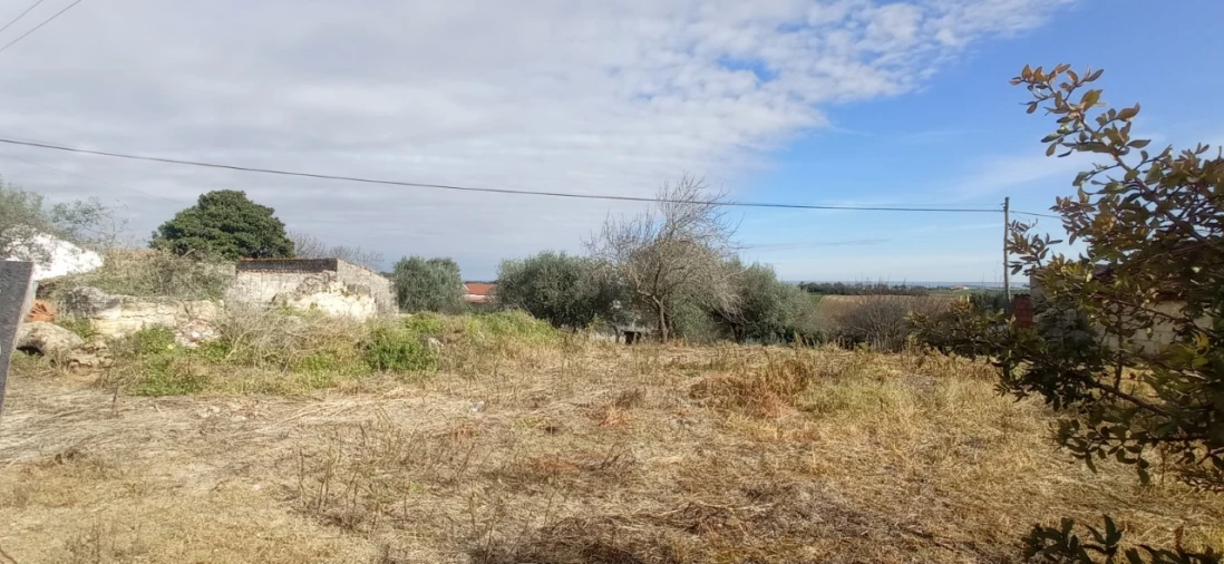 Moradia para Venda em Achete, Azoia de Baixo e Póvoa de Santarém Foto 1
