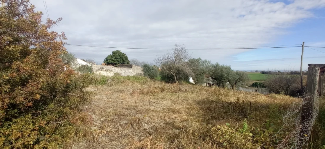 Moradia para Venda em Achete, Azoia de Baixo e Póvoa de Santarém Foto 2