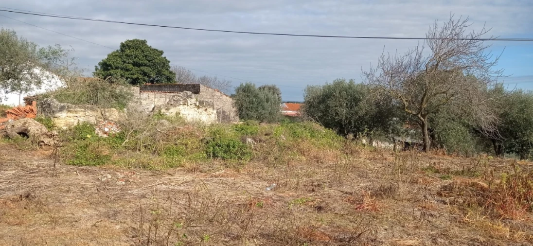 Moradia para Venda em Achete, Azoia de Baixo e Póvoa de Santarém Foto 3