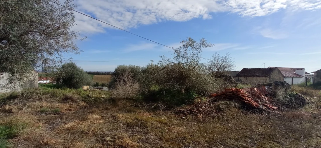 Moradia para Venda em Achete, Azoia de Baixo e Póvoa de Santarém Foto 4