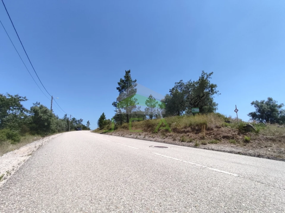 Terreno para Venda em Vila Cã Foto 2