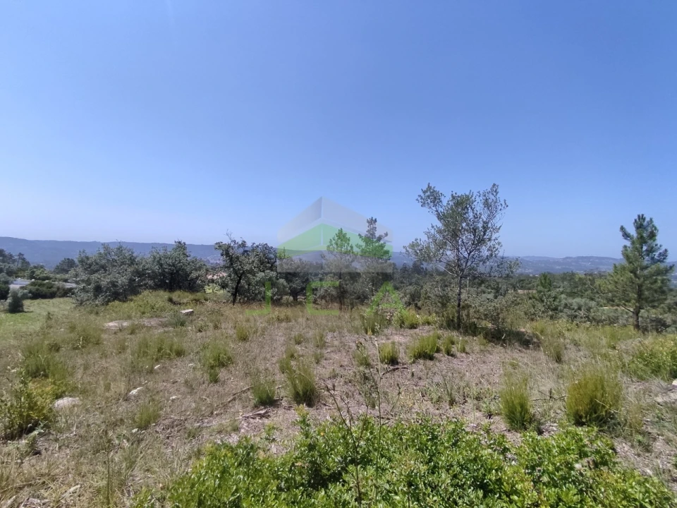 Terreno para Venda em Vila Cã Foto 9