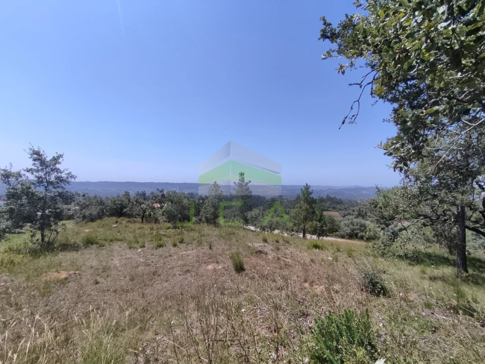 Terreno para Venda em Vila Cã Foto 10