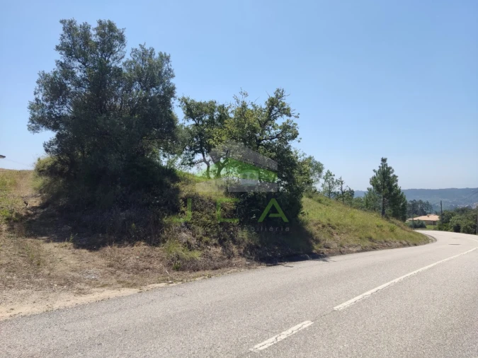 Terreno para Venda em Vila Cã Foto 12