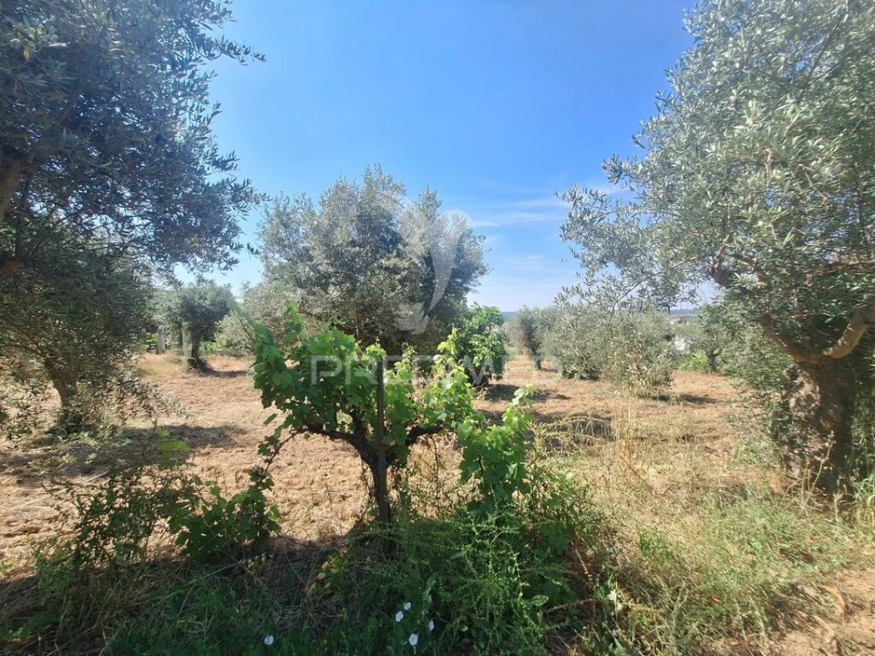 Terreno para Venda em Praia do Ribatejo Foto 8