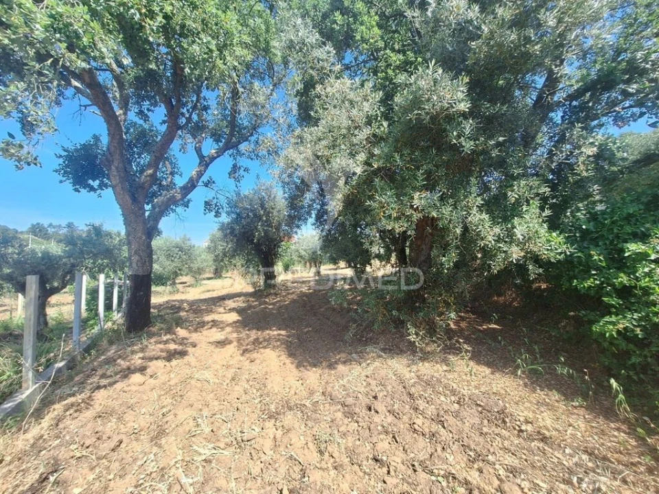 Terreno para Venda em Praia do Ribatejo Foto 3