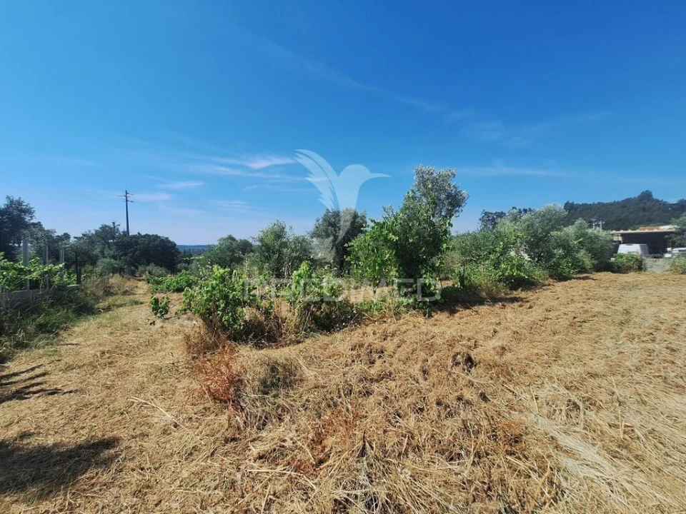 Terreno para Venda em Praia do Ribatejo Foto 16
