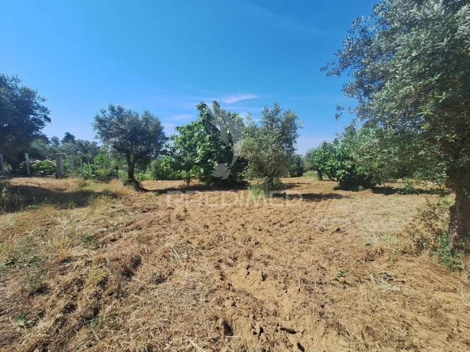 Terreno para Venda em Praia do Ribatejo Foto 11