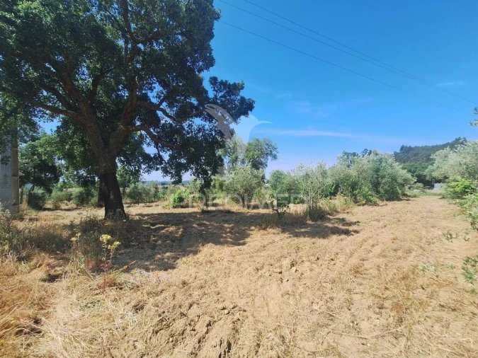 Terreno para Venda em Praia do Ribatejo Foto 18