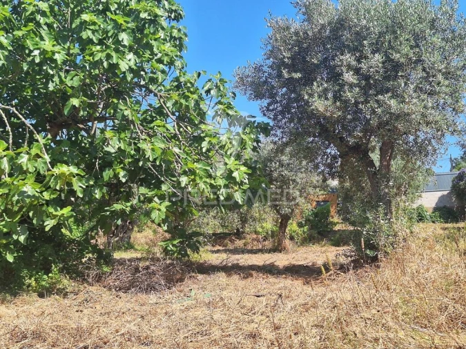 Terreno para Venda em Praia do Ribatejo Foto 14