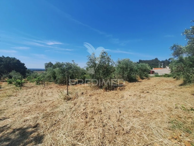 Terreno para Venda em Praia do Ribatejo Foto 17
