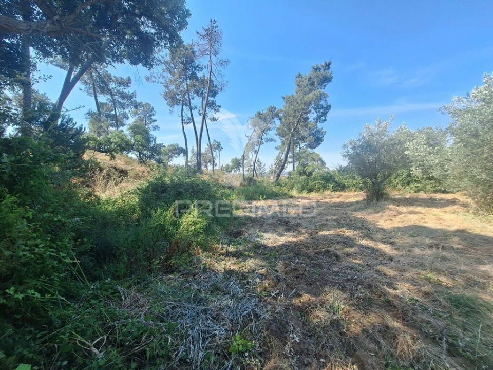 Terreno para Venda em Praia do Ribatejo Foto 20