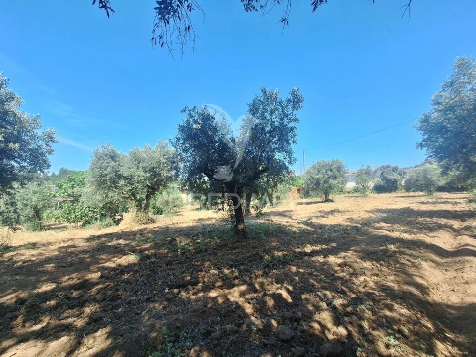 Terreno para Venda em Praia do Ribatejo Foto 4