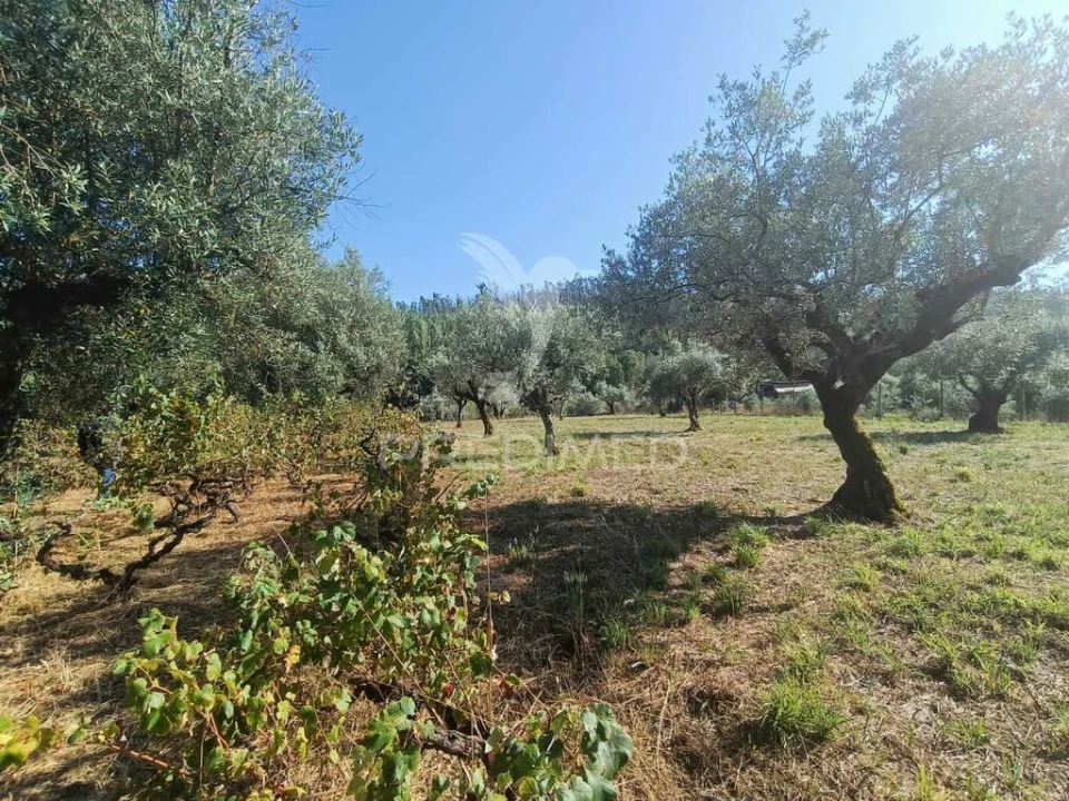 Moradia T3 para Venda em Urqueira Foto 18