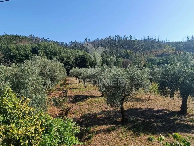 Moradia T3 para Venda em Urqueira Foto 17