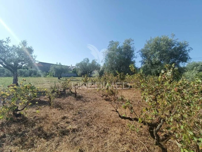 Moradia T3 para Venda em Urqueira Foto 16