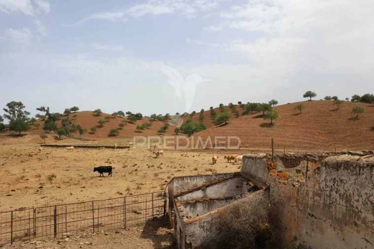 Terreno para Venda em Castro Marim Foto 18
