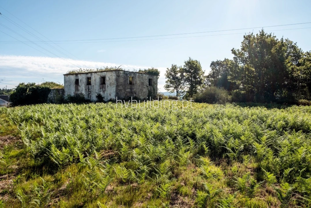 Terreno para Venda em Galegos (São Martinho) Foto 28