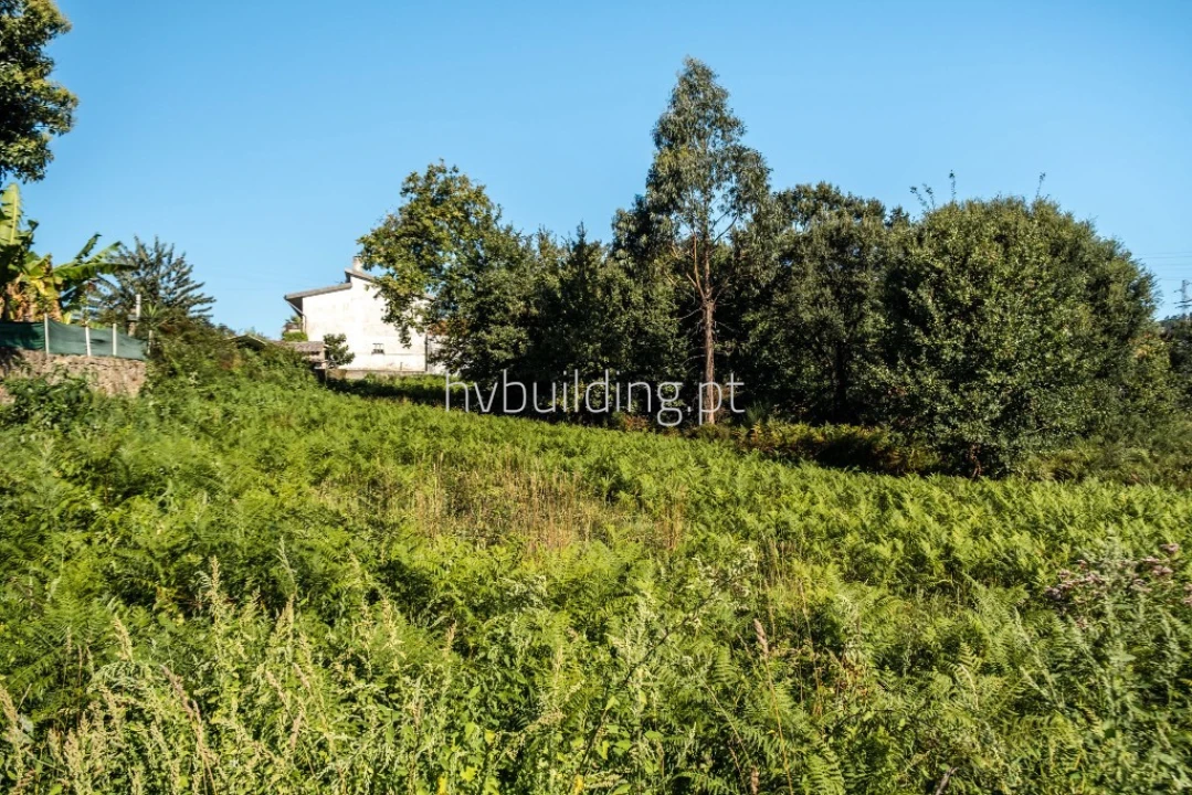 Terreno para Venda em Galegos (São Martinho) Foto 22