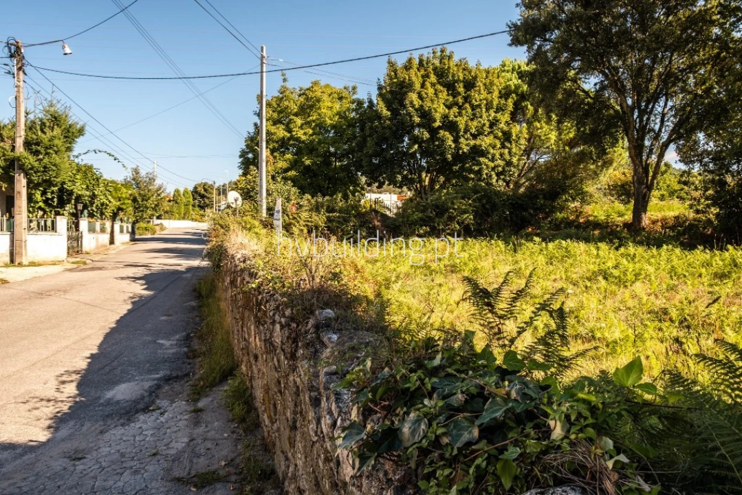 Terreno para Venda em Galegos (São Martinho) Foto 15