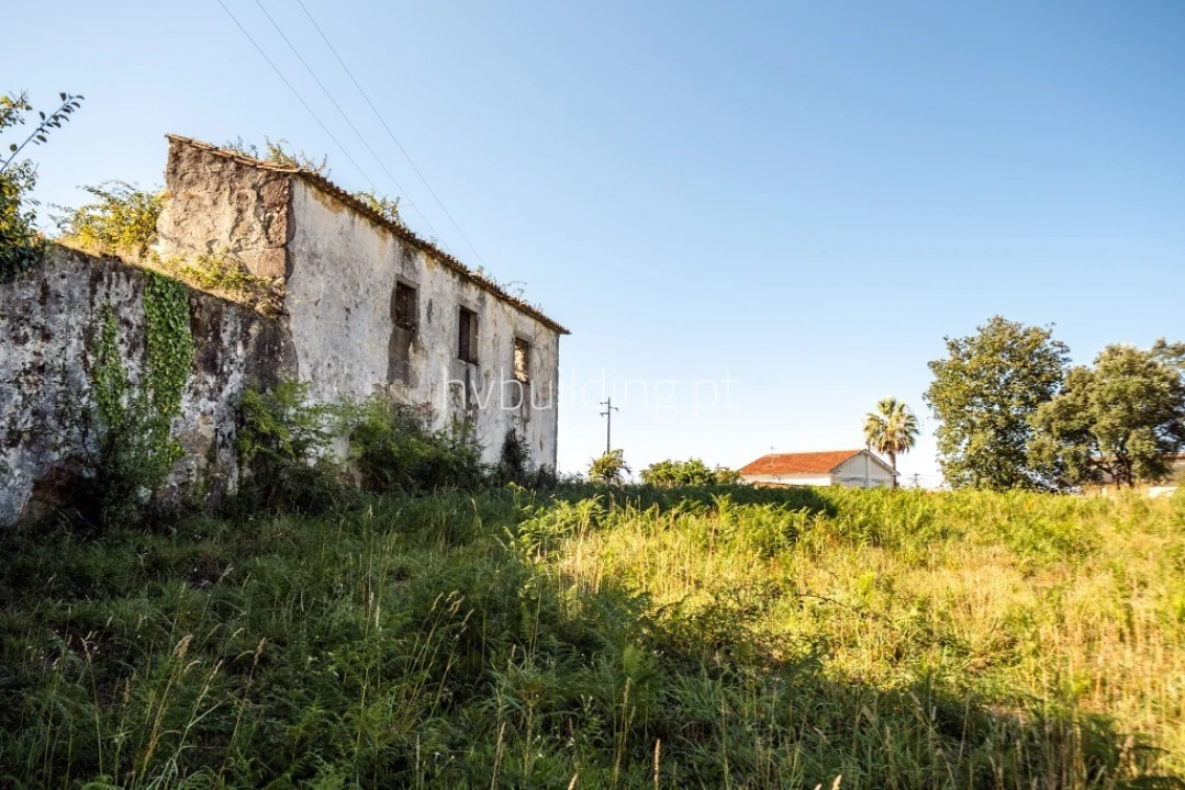 Terreno para Venda em Galegos (São Martinho) Foto 24