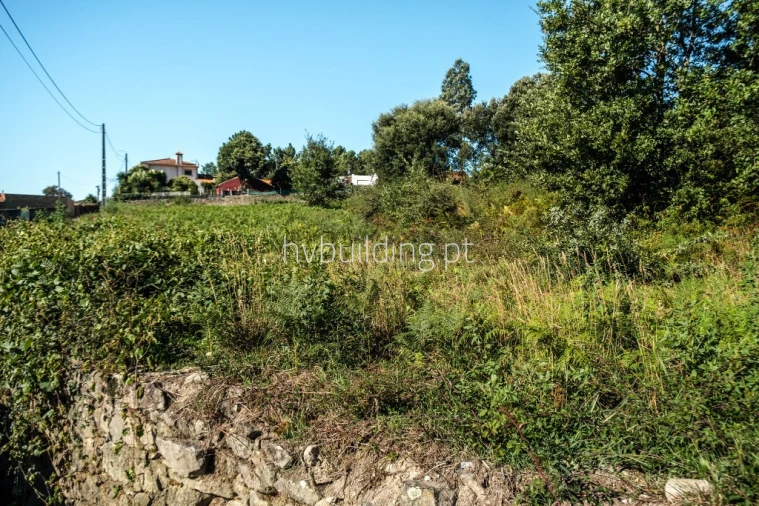 Terreno para Venda em Galegos (São Martinho) Foto 20
