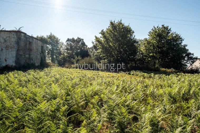 Terreno para Venda em Galegos (São Martinho) Foto 27