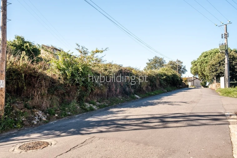 Terreno para Venda em Galegos (São Martinho) Foto 12