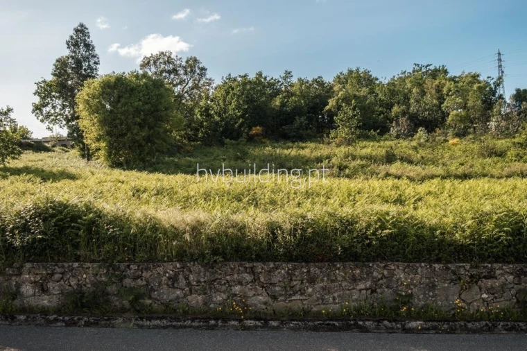 Terreno para Venda em Galegos (São Martinho) Foto 3