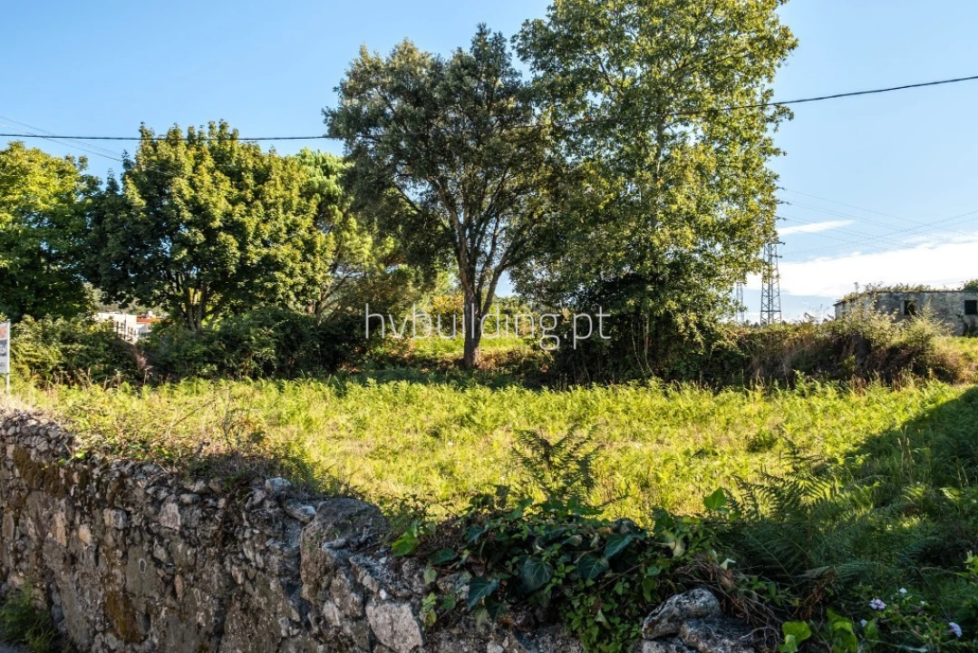 Terreno para Venda em Galegos (São Martinho) Foto 16