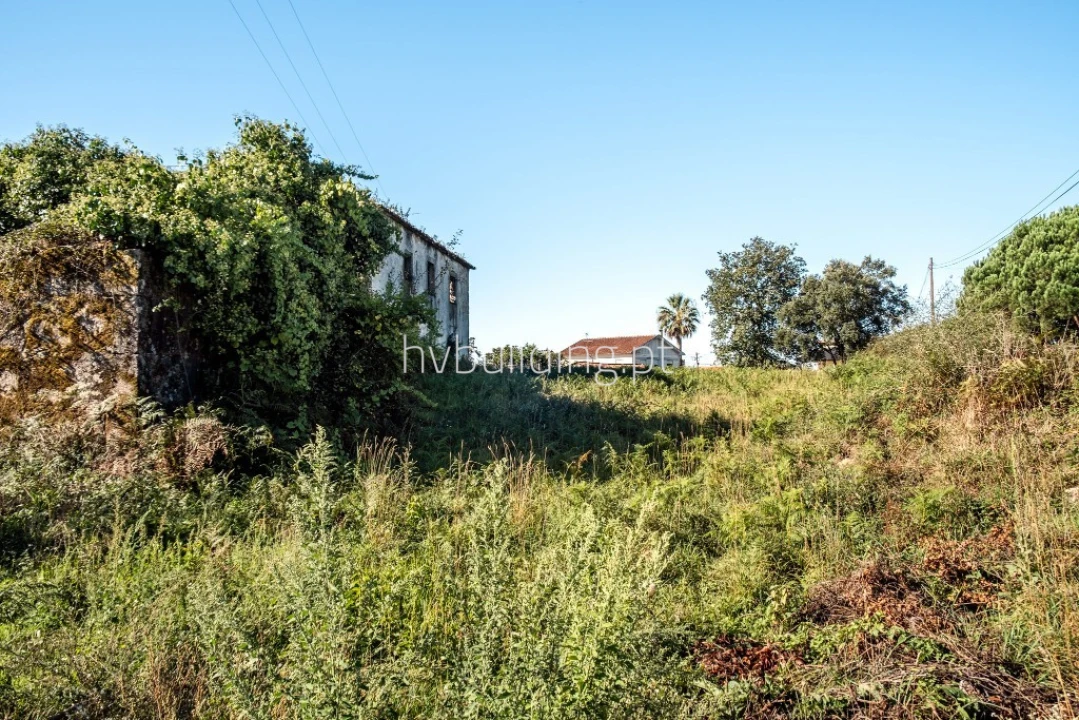Terreno para Venda em Galegos (São Martinho) Foto 11