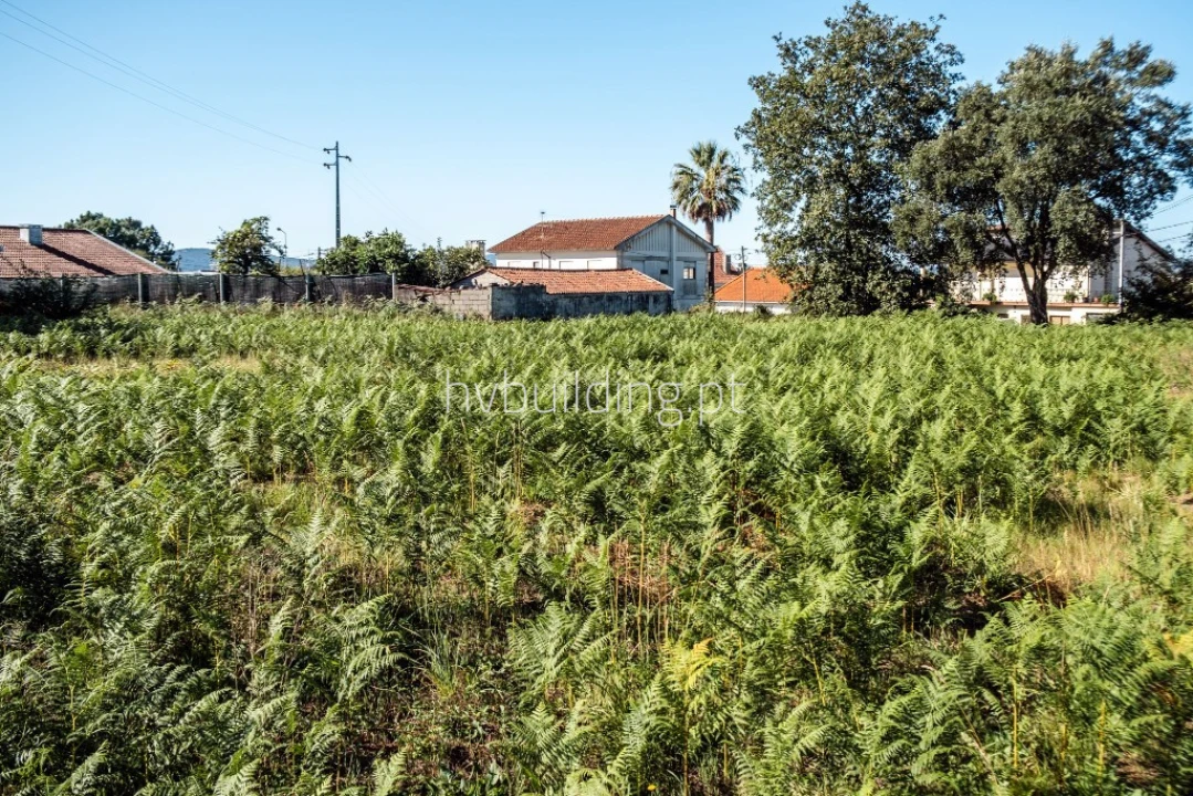 Terreno para Venda em Galegos (São Martinho) Foto 26