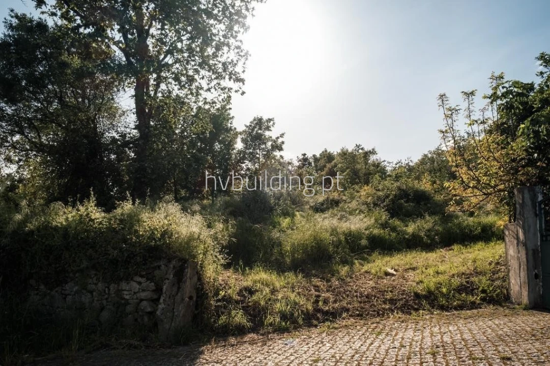 Terreno para Venda em Galegos (São Martinho) Foto 5