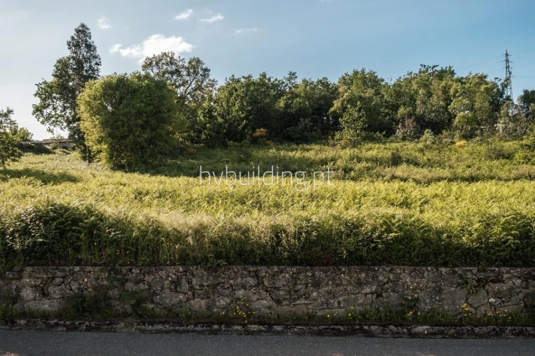 Terreno para Venda em Galegos (São Martinho) Foto 3