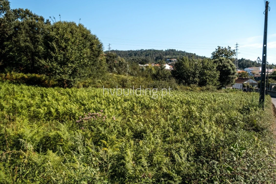 Terreno para Venda em Galegos (São Martinho) Foto 23