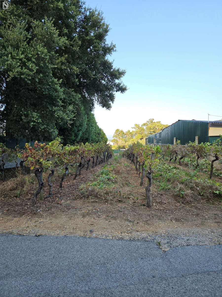Terreno para Venda em Amoreira da Gândara, Paredes do Bairro e Ancas Foto 2