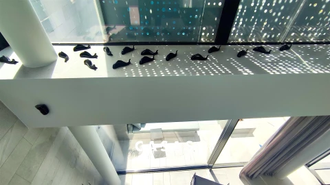 Moradia T3 para Venda em Ribeira Brava