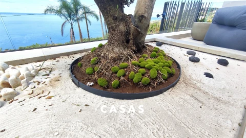 Moradia T3 para Venda em Ribeira Brava