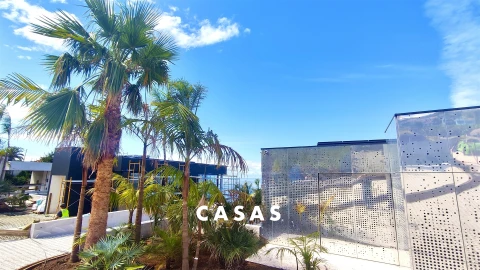 Moradia T3 para Venda em Ribeira Brava