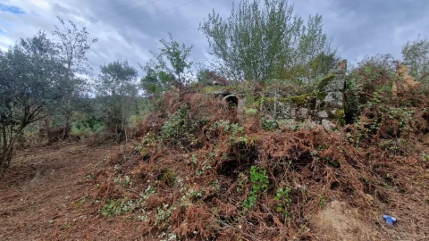 Terreno para Venda em Tabua