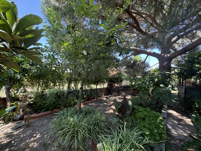 Moradia T4 para Venda em Couço Foto 9