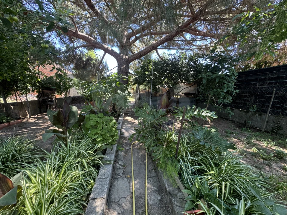 Moradia T4 para Venda em Couço Foto 10