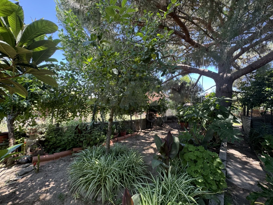 Moradia T4 para Venda em Couço Foto 9