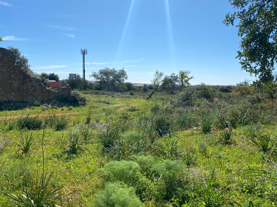 Terreno para Venda em Paderne Foto 5