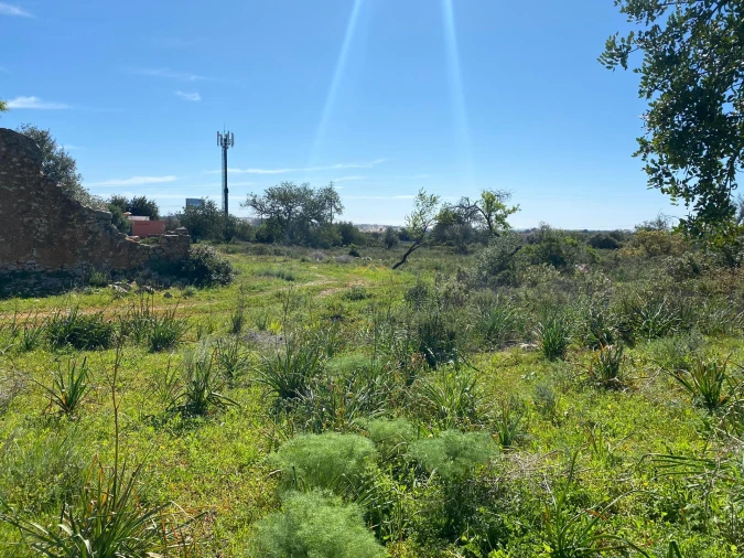 Terreno para Venda em Paderne Foto 5