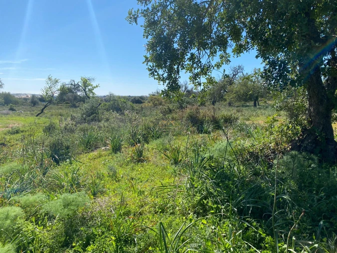 Terreno para Venda em Paderne Foto 6