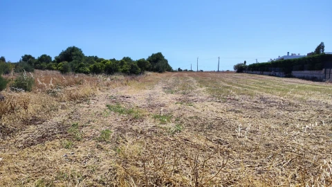 Terreno para Venda em Albufeira e Olhos de Água