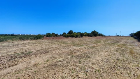 Terreno para Venda em Albufeira e Olhos de Água