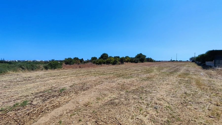 Terreno para Venda em Albufeira e Olhos de Água Foto 9